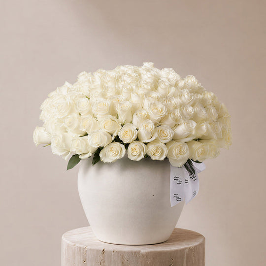 Yasmeen White Roses in Ivory Vase - BLACK AND BLANC