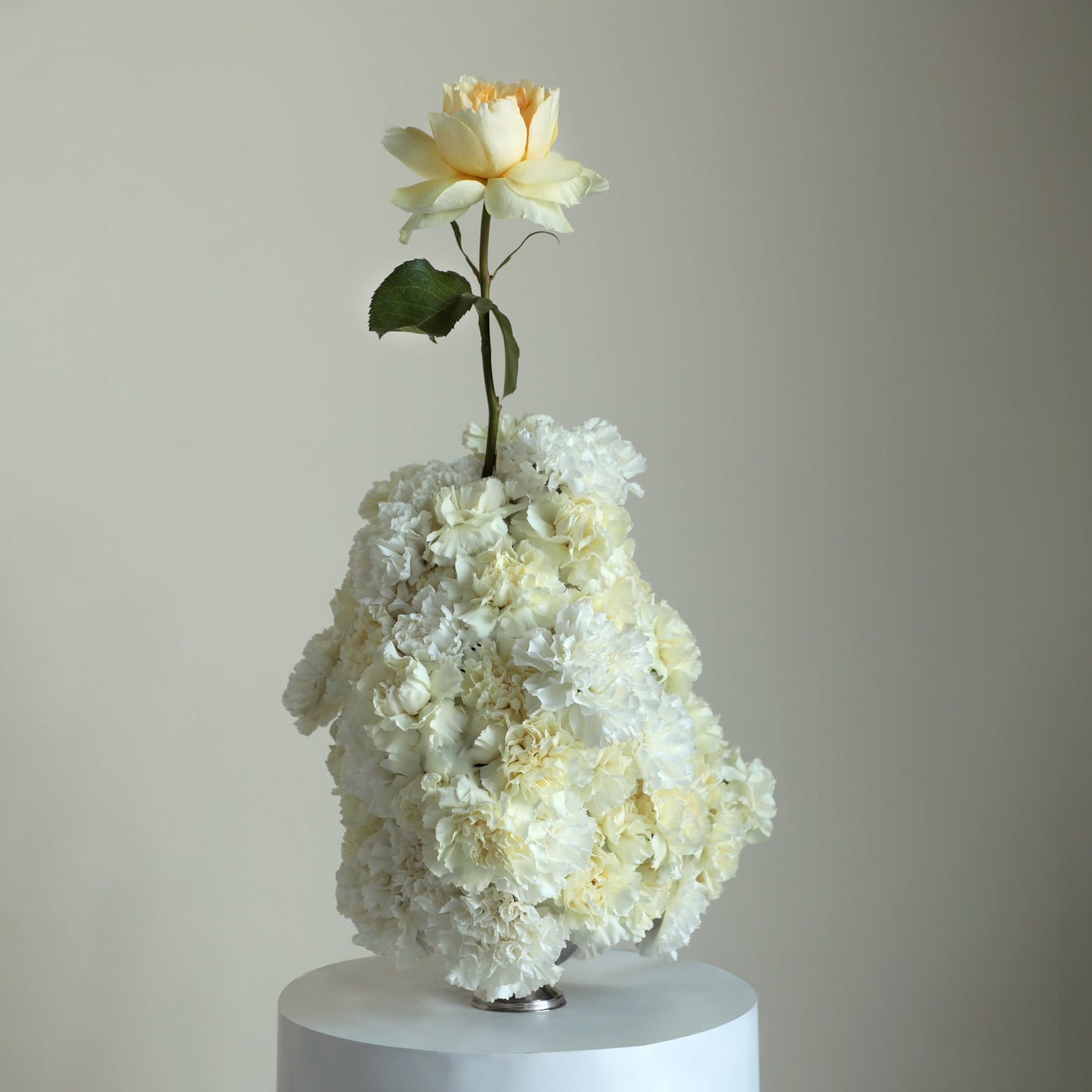 Yellow Wonderland in Vase