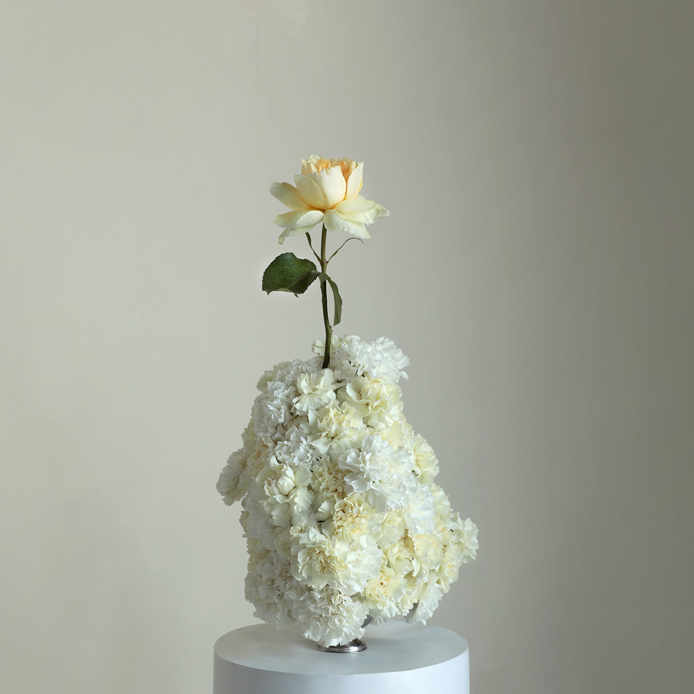 Yellow Wonderland in Vase