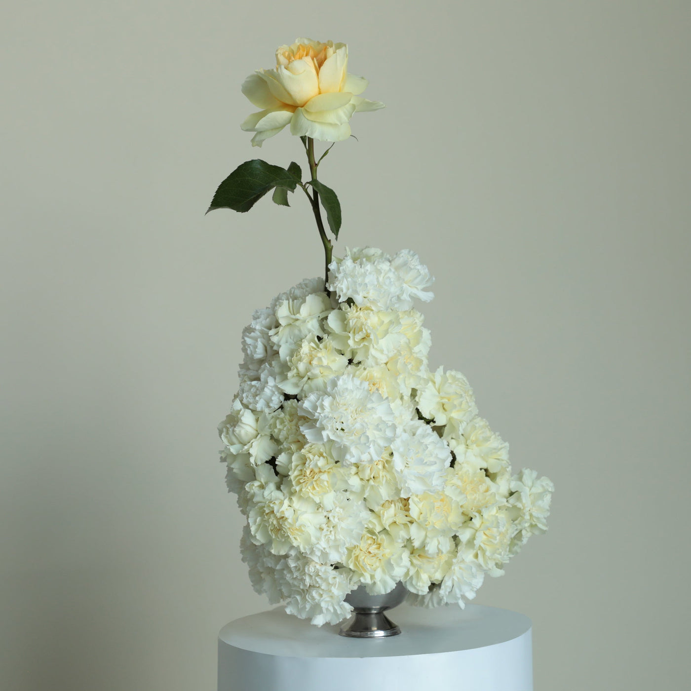 Yellow Wonderland in Vase