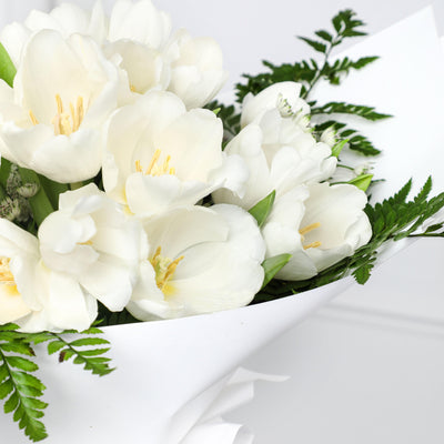 Snow White Tulips Bouqs- Fresh Flowers - BLACK AND BLANC