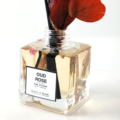 Oud Rose - BLACK AND BLANC