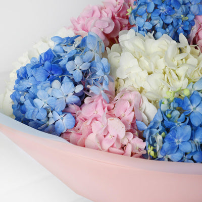 Hydrangea Multi color Bouqs - Fresh flowers - BLACK AND BLANC